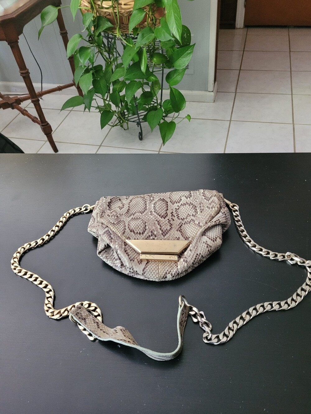 Foley & Corinna ZiggySnake-Print Chain Crossbody Bag in Taupe with Gold Hardware